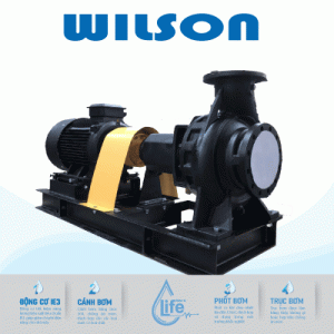 Máy bơm nước công nghiệp trục rời