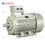 động cơ điện 3 pha IE2