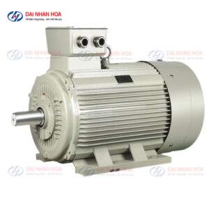 động cơ điện 3 pha IE2